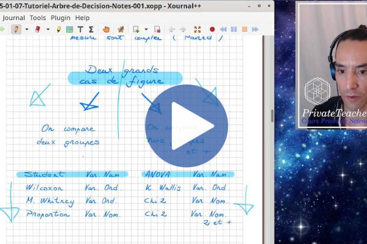 Miniature Statistic CC2 Correction Video PrivateTeacher